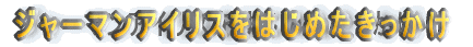 W[}ACX͂߂