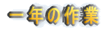 N̍