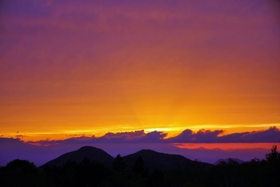 EPA写真クラブ｜撮影会｜志賀高原｜奥志賀高原｜シャレ―志賀｜高山植物｜沼