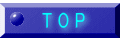 T O P 