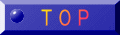 T O P 