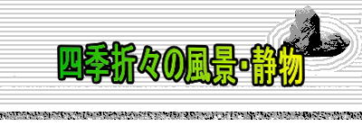 lG܁X̕iEÕ
