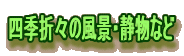 lG܁X̕iEÕȂ
