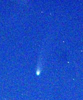 251028LEMON.JPG - 71,828BYTES