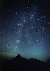 040813PINMILK.JPG - 5,450BYTES