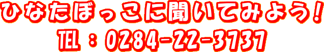 ひなたぼっこに聞いてみよう!
пF0284-22-3737