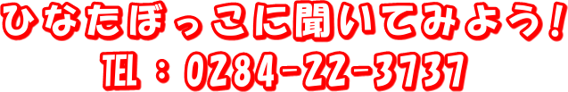 ひなたぼっこに聞いてみよう!
пF0284-22-3737
