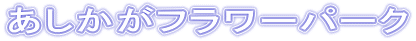 あしかがフラワーパーク