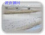 �n�ǐ���