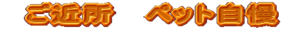 �@���ߏ��@ �y�b�g����
